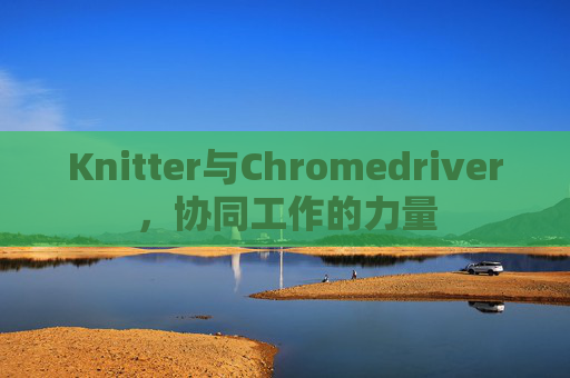 Knitter与Chromedriver，协同工作的力量